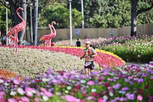BIB: 
                            <button type="button" onclick="openModal(27803048)" class="btn btn-primary btn-sm float-right btn-popup" data-toggle="modal" data-target=".modal-high-quality">
                        <i class="fas fa-shopping-cart"></i> Add to Cart
                    </button>
                                            <button type="button" onclick="isThisMe(27803048, true)" class="btn btn-success btn-sm float-right btn-popup btn-isme hidden" data-toggle="tooltip" data-placement="bottom" title="นี่คือรูปของคุณใช่ไหม คลิกที่นี่เพื่อเอาเข้าอัลบั้ม">
                        <i class="fas fa-plus"></i> Add to album
                    </button>
                    <button type="button" onclick="isThisMe(27803048, false)" class="btn btn-warning btn-sm float-right btn-popup btn-isnotme hidden">
                        <i class="fas fa-ban"></i> Remove from album
                    </button>
